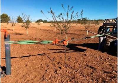 Mula, Murcia: estudio geotécnico e hincado para planta solar